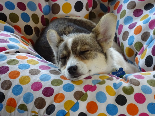 asleep 2014-11-15 001
